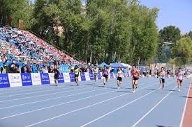 什么是“博弈论中的惩罚机制”？解析十三水中“倒枪”对玩家行为的规范。（解读博弈论惩罚机制：十三水中“倒枪”如何规范玩家行为）