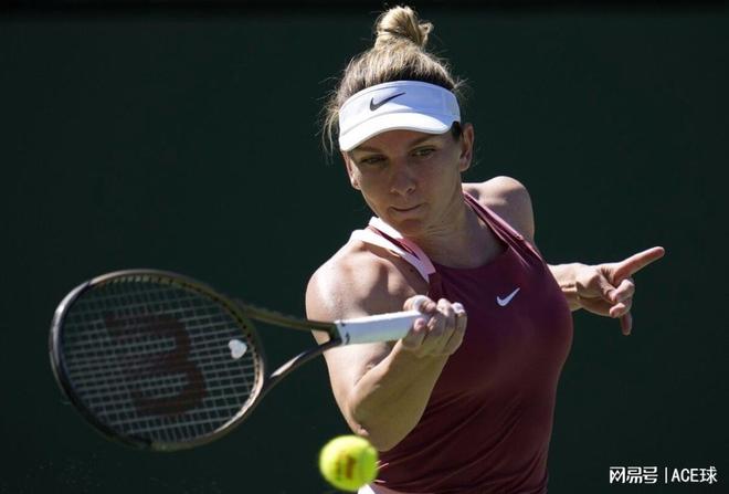 还能在搜索 还能在搜索