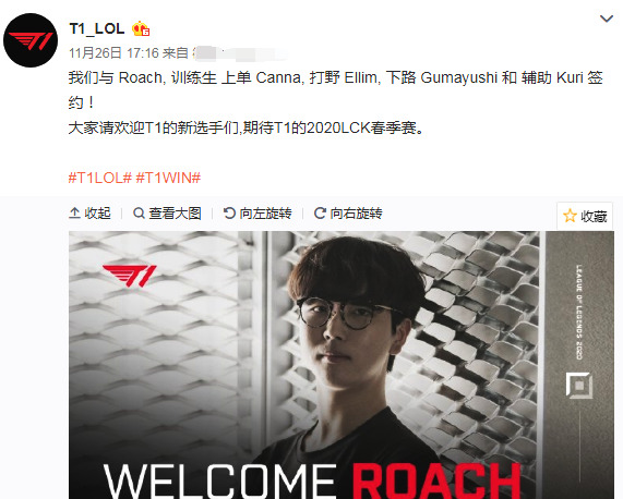 更是意志与 更是意志与